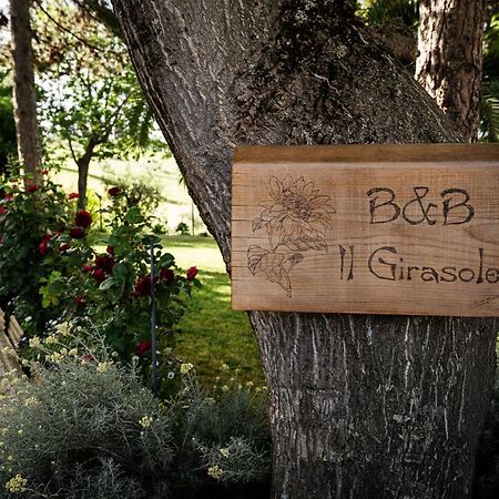 Bed and Breakfast Il Girasole Basciano Zewnętrze zdjęcie