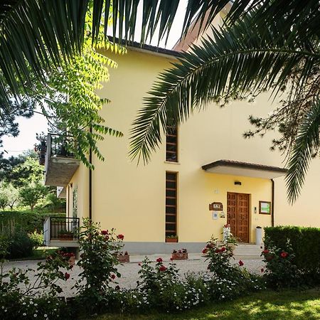Bed and Breakfast Il Girasole Basciano Zewnętrze zdjęcie