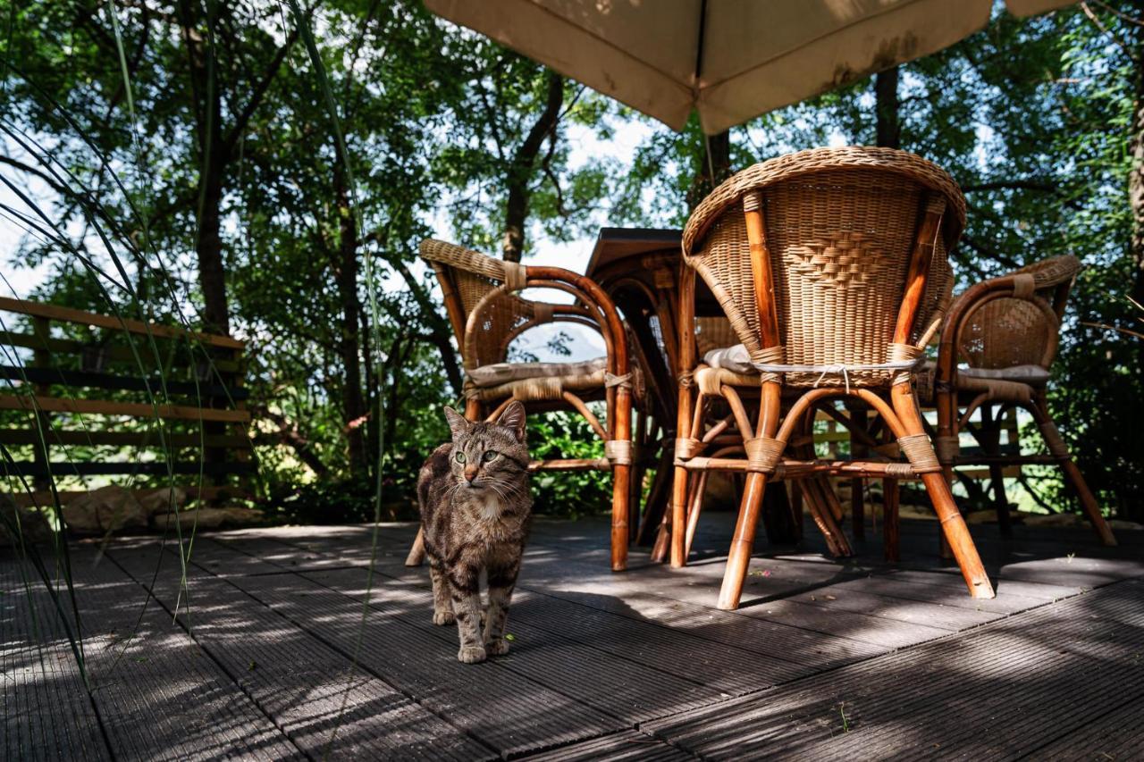 Bed and Breakfast Il Girasole Basciano Zewnętrze zdjęcie