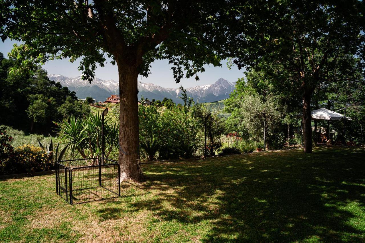 Bed and Breakfast Il Girasole Basciano Zewnętrze zdjęcie
